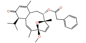4-O-Methylvaldivone B